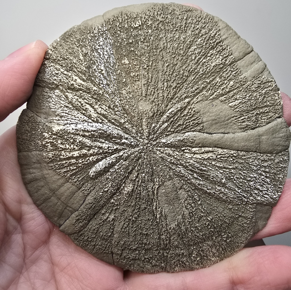 Pyrite Sun Crystal 3.8 inches - Picture 3 of 11